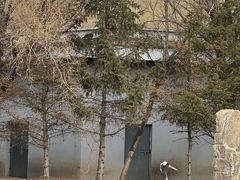 -齐齐哈尔龙沙动植物园