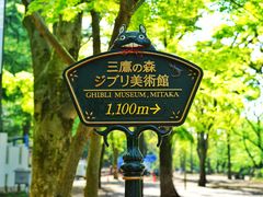 -三鹰之森吉卜力美术馆
