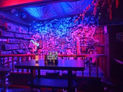 -周庄红庭演艺酒吧