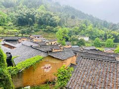 -杨家堂村