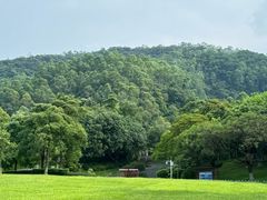 -火炉山森林公园