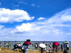 -碧海金沙