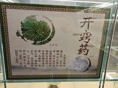 -广东中医药博物馆