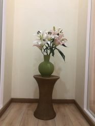 -思怡瑜伽·普拉提·减脂塑形