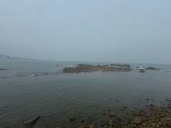 -小麦岛公园