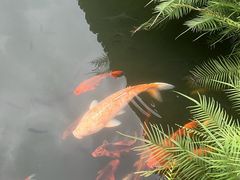-江南第一家