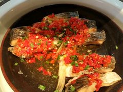 -视界美食自助餐厅·石家庄希尔顿酒店