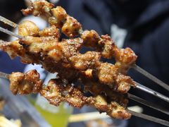 烤掌中宝-胡犇嗲单车烧烤(坡子街店)