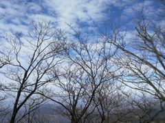 -罗田薄刀峰风景区