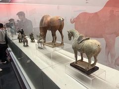 -衢州市博物馆