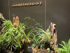 -梅间堂茶馆(绿地缤纷城店)