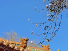 -碑林公园