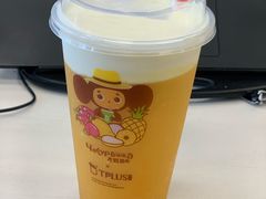 -TPLUS茶家(浦电路店)