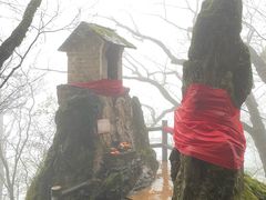 -塔云山