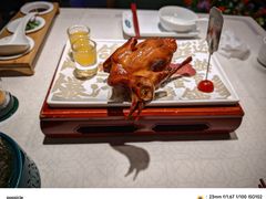 -大鸽饭(动物园店)