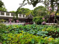 -上海醉白池公园
