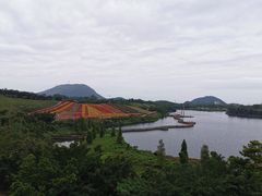 -东部华侨城