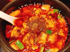 -陈麻婆豆腐总店