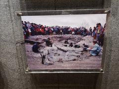 景点-自贡恐龙博物馆