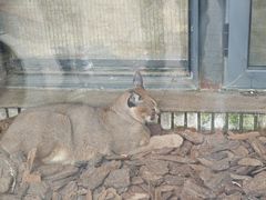 -北京野生动物园