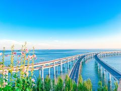 -星海湾跨海大桥