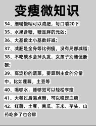 -Fundi张玉珊修身堂·indiba·BTL科技瘦身