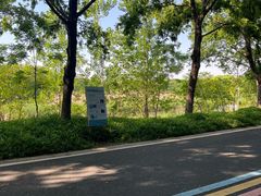 -同里国家湿地公园