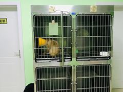 -圣宠动物医院·犬猫专科·影像中心·外科中心