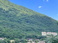 -三亚亚龙湾人间天堂鸟巢度假村