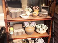 -漫渡庄绿岛花园•隐世庭园菜(滨湖店)