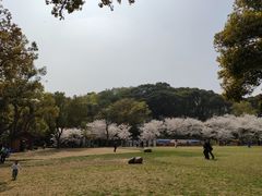 -苏州上方山国家森林公园