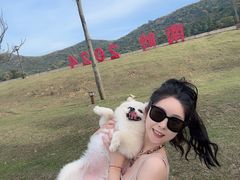 -大姆山草场