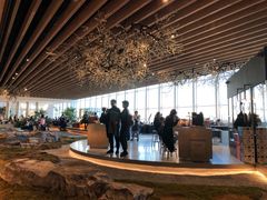 -Seesaw Coffee(朝阳大悦城店)