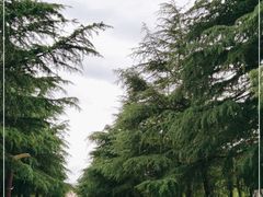 -黄河小浪底水利枢纽风景区