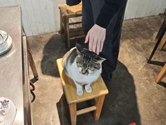 -铜瓢江湖兔火锅(水碾河社区店)