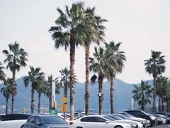 -东钱湖旅游度假区