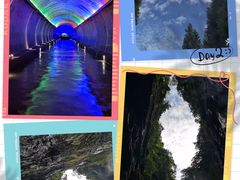 -武陵山森林公园