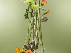 -荷兰布尔玛国际花艺学院