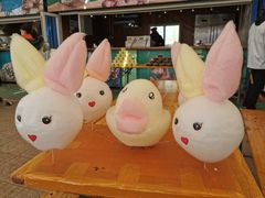 -南宫五洲植物乐园