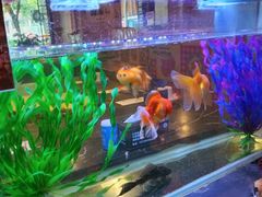 -粗粮人家·东北菜(洋桥店)