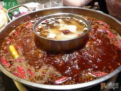 -小天鹅火锅·一线江景洪鼎旗舰店(洪崖洞店)