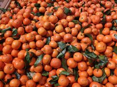 -华联商厦(火车站店)