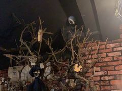 -MAX伯爵趣味互动密室逃脱(大坪D馆店)