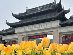 -苏州上方山国家森林公园
