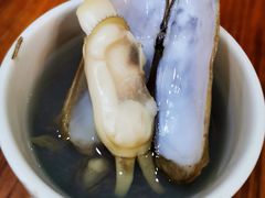 海蛏罐-广达眼镜炖罐(广达店)