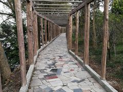 -南汇桃花村