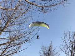 -白鹭湾湿地公园