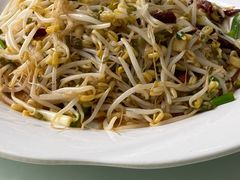 -大鸭梨烤鸭店(金顶街店)