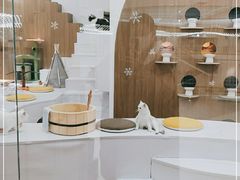 -COLOR PETS 撸猫馆·购猫·猫咖(长风大悦城店)