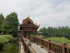-云南民族村